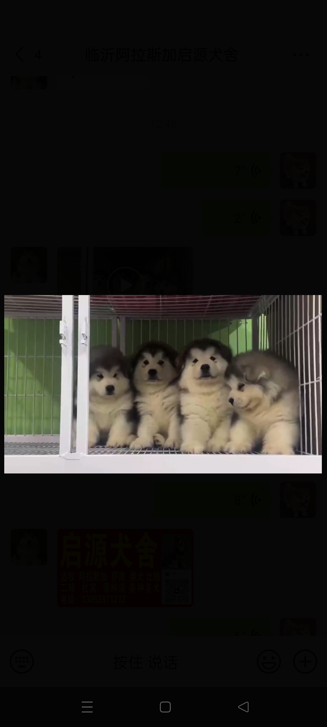 阿拉斯加